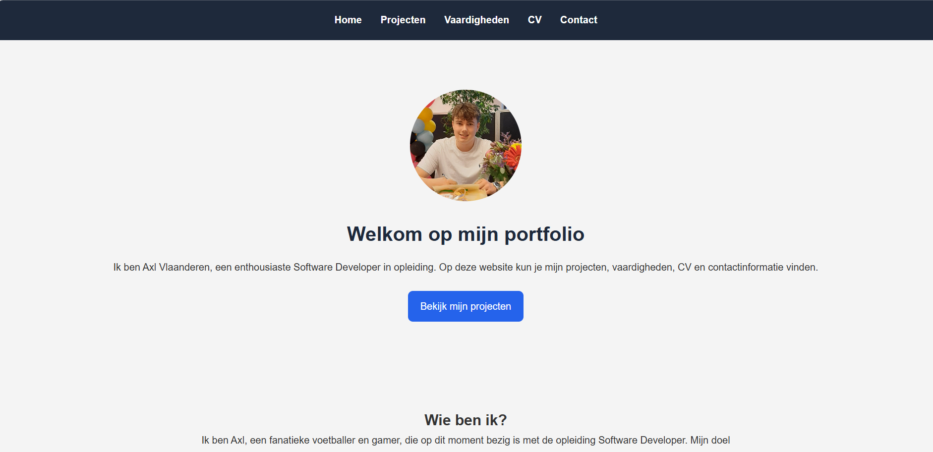 Project afbeelding